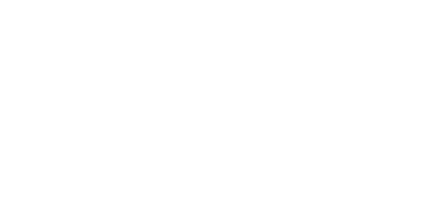 Make in India